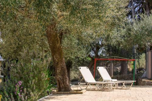Olive Grove Poolside Apartments