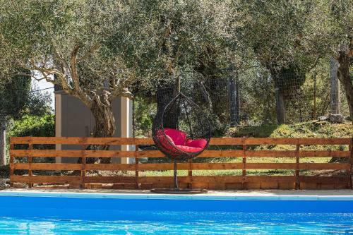 Olive Grove Poolside Apartments