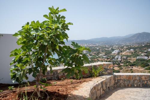 Apartamento Miracle View Villas