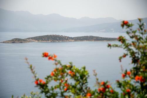 Apartamento Miracle View Villas