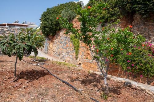 Apartamento Miracle View Villas