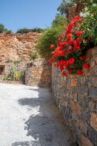 Apartamento Miracle View Villas