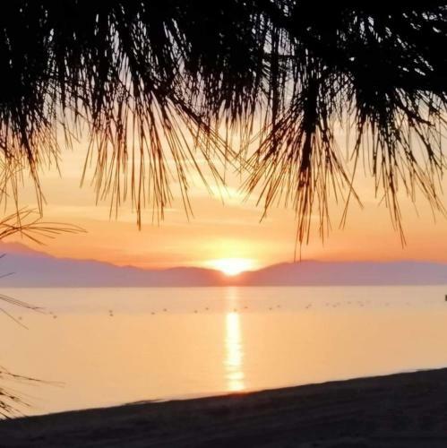 Apartamento Villa Stratos A