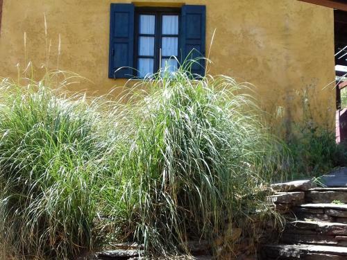 Ikarian Centre Guesthouse