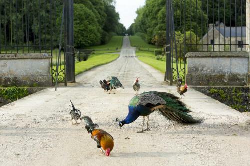 Hostal Chateau De Pont-rilly
