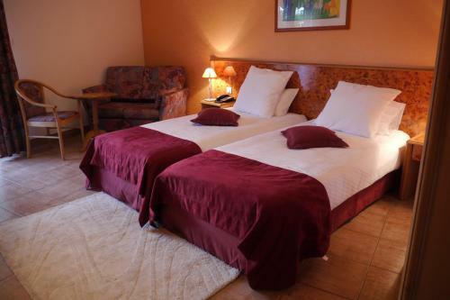 Hotel Restaurant Sud Alsace