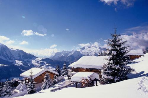 Hotel Les Chalets-h�tel de La Croix-fry