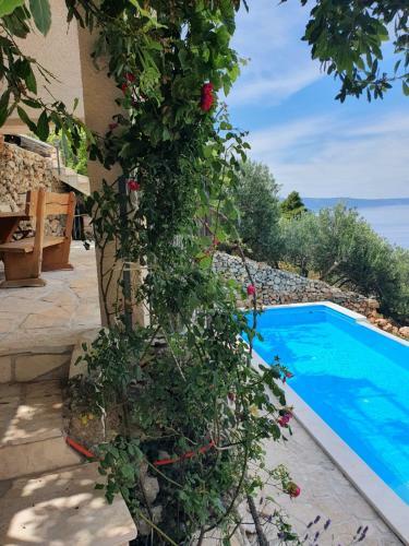 Apartamento Villa Jerkovi?-secluded House With Pool