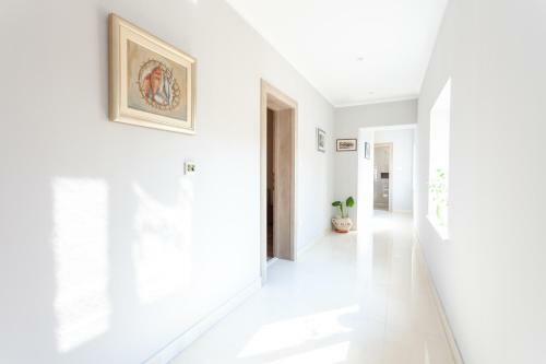 Sea And Lemon Tree Apartment