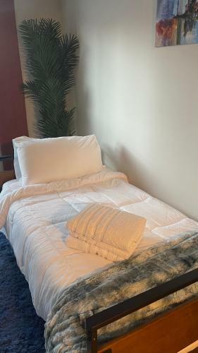 Apartamento Create, Manifest, Restore Suites