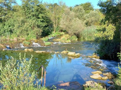 River Fantasy ( Mre?ni?ka Fantazija )