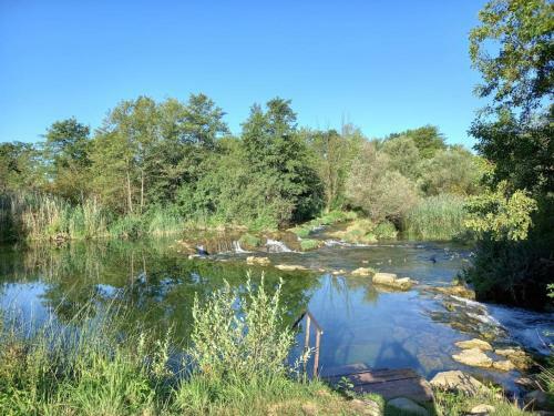 River Fantasy ( Mre?ni?ka Fantazija )