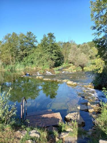River Fantasy ( Mre?ni?ka Fantazija )