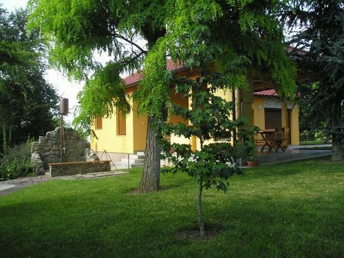 Apartamentos Zeleni Horizont