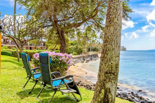 Kuleana 508