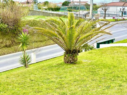 Casa Quinta Das F�rias