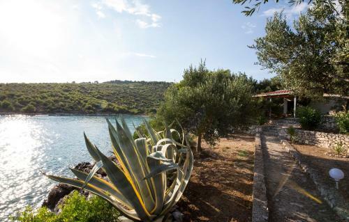 Holiday Home Frane, Karlo I Sestre Agnic