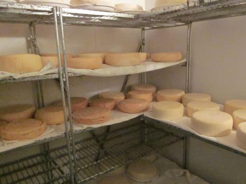 Bed & Breakfast Mulino Marghen