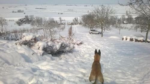 Baranja Black Hill's