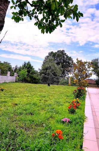 Hostal Villa Marki?