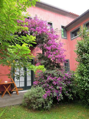 Hostal Estrela Do Atl�ntico
