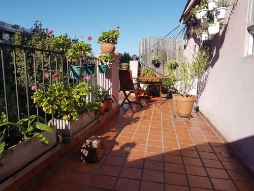 Apartamento Thames Terrazas