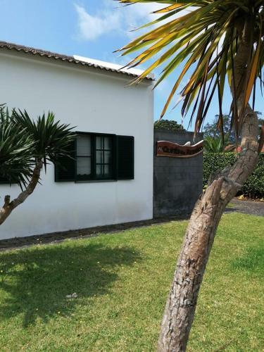 Apartamento Quinta Do Areeiro