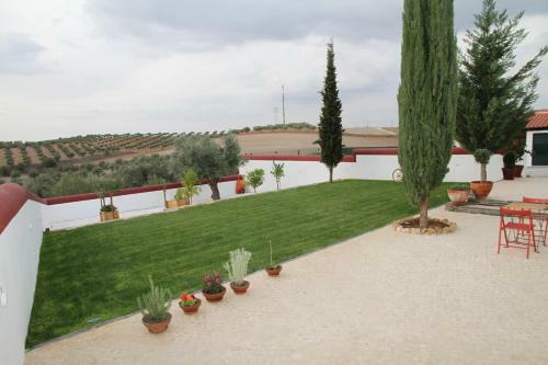 Casas De S�o L�zaro