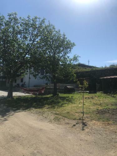 Casa Nova