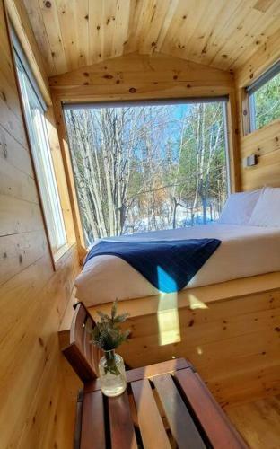 Tiny House In The Woods-escape To Nature. The Loon