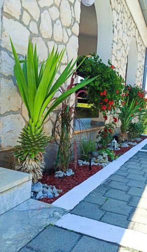 Apartamento Carpe Summer