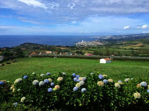 Villa Flor Do Monte