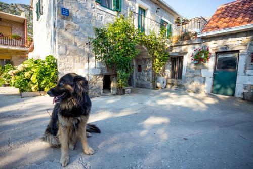 Apartmani Rebac