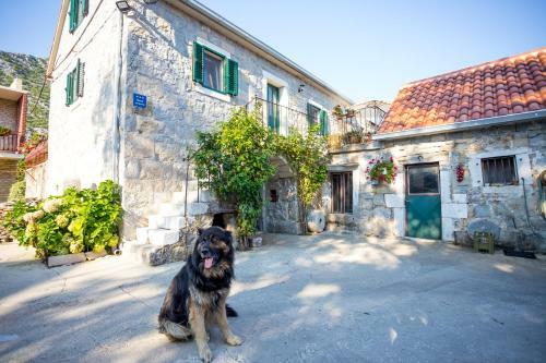 Apartmani Rebac