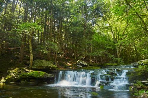 Tentrr Signature Site - High Peak Meadows Camp Ny