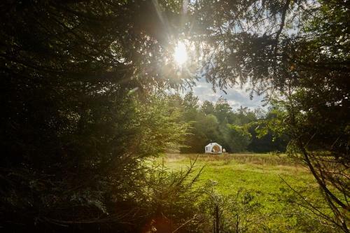 Tentrr Signature Site - High Peak Meadows Camp Ny