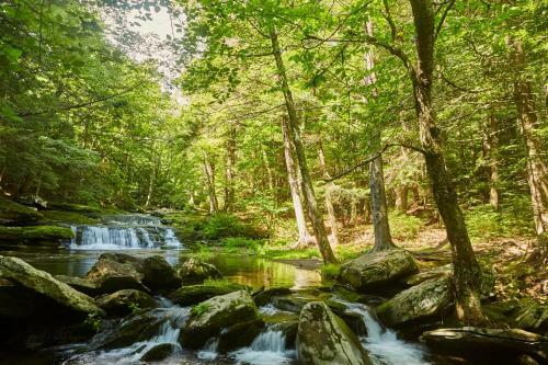 Tentrr Signature Site - High Peak Meadows Camp Ny