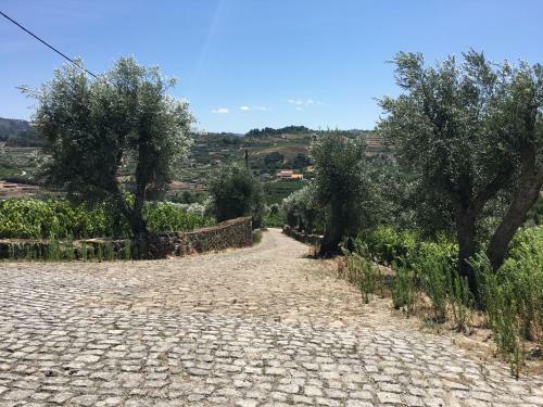 Apartamento Quinta Do Acipreste (Antiga Quinta Da Torre)