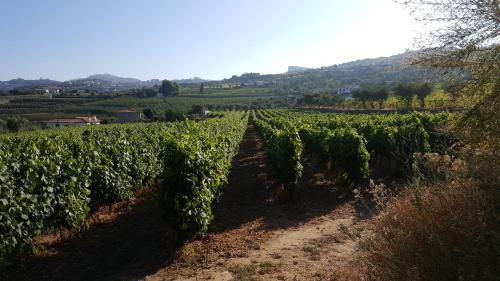 Apartamento Quinta Do Acipreste (Antiga Quinta Da Torre)