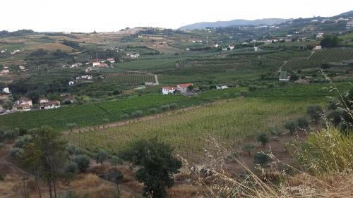 Apartamento Quinta Do Acipreste (Antiga Quinta Da Torre)