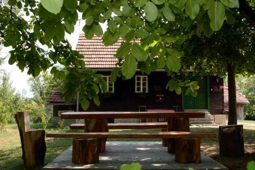 Holiday Home Hi?ica V Plavem Trnacu