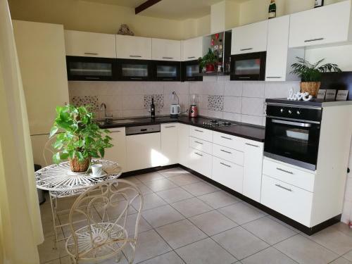 Apartment Bluebay