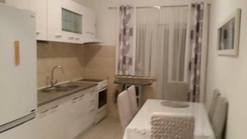 Apartment Biskupovic