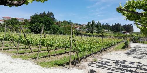 My Portugal For All - Lousada Villa