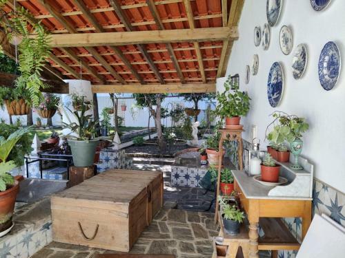 Hostal Casa Da Estrela