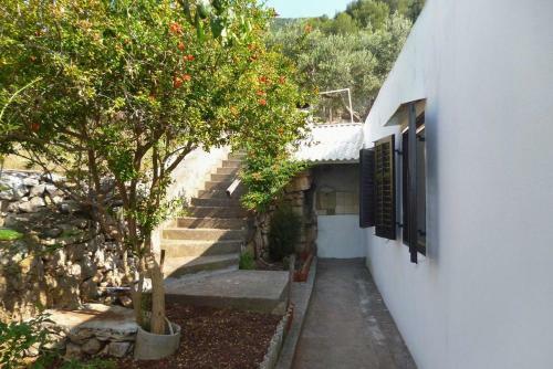 Seaside Secluded Apartments Cove Virak, Hvar - 6969