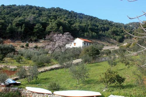 Seaside Secluded Apartments Cove Torac, Hvar - 8653