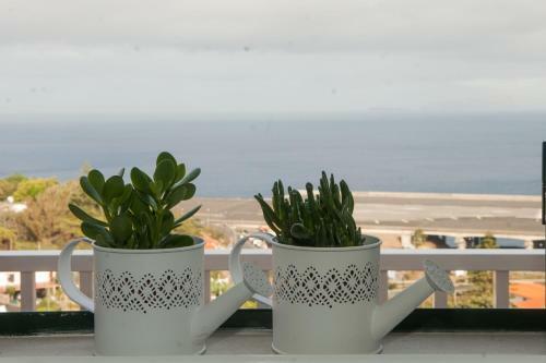 Apartamento Villa Scirocco Madeira - Ocean View