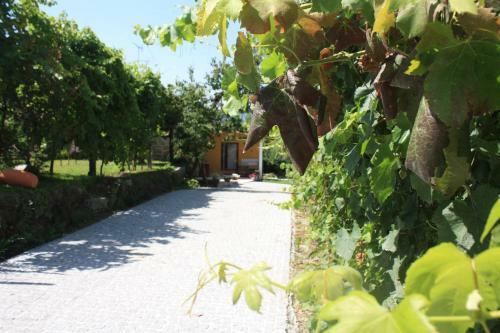 Casa Matreiro
