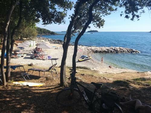 Apartamento Alba Sanja